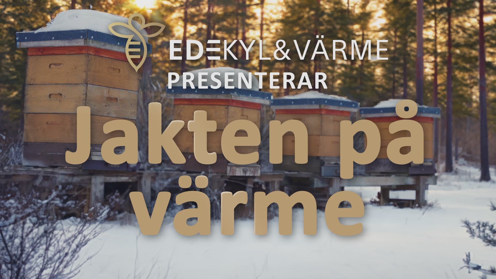 Ladda video: 